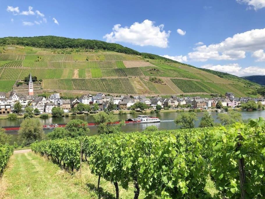 Ferienhaus Schwanennest Zell an der Mosel Exterior photo